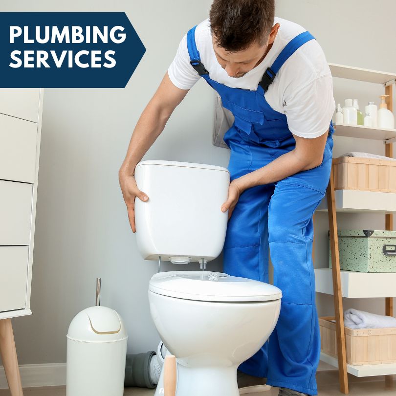 Plumbing Company in Copemish, MI